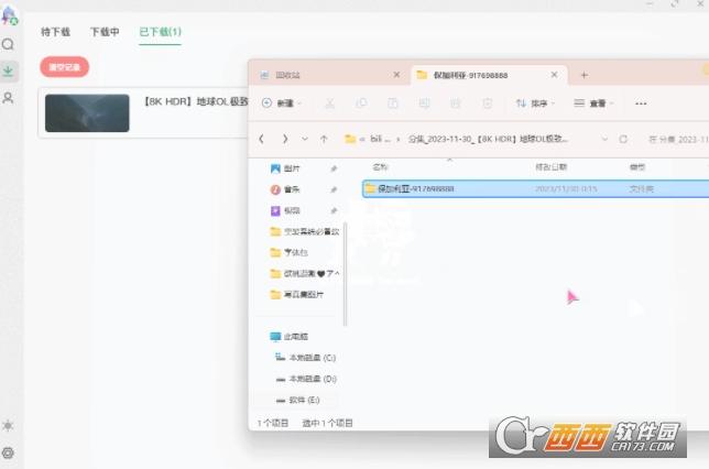 Bilidown,下载器,b站视频.